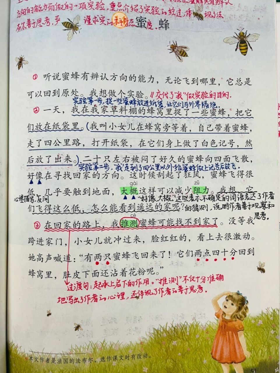 36615下备课笔记/《蜜蜂》93 #三年级语文下册# #语文笔记