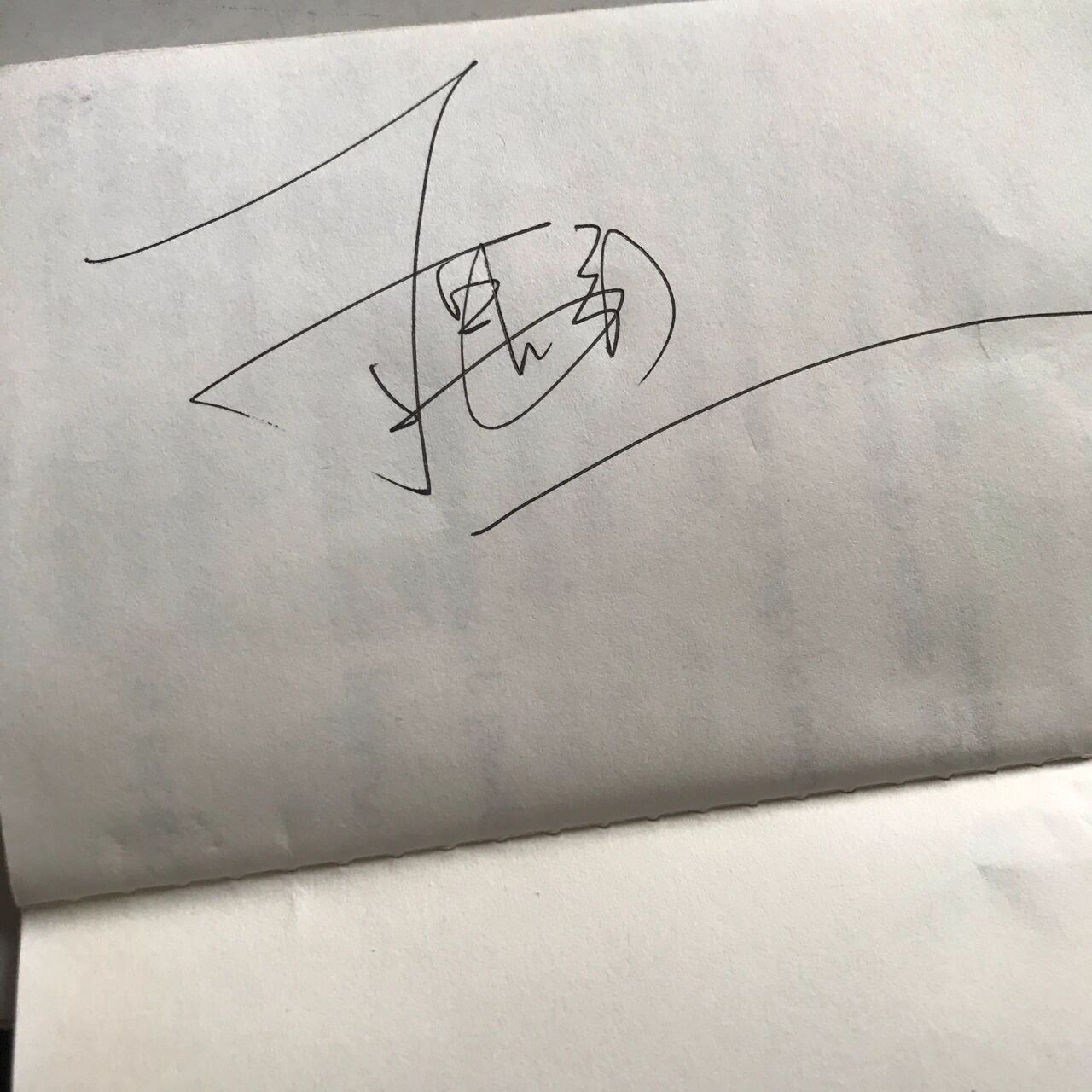 也就是丁禹兮,张译,戚薇,金瀚,李佳洁罢了哈哈哈哈哈哈 都是剧组来