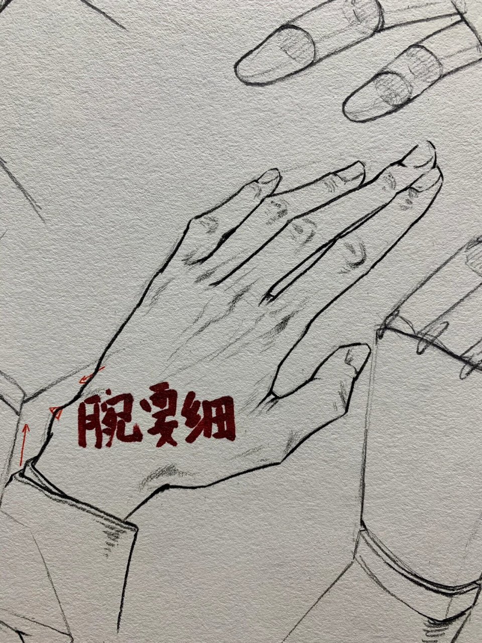 速写手部默写 手部结构理解,画手先画手背.