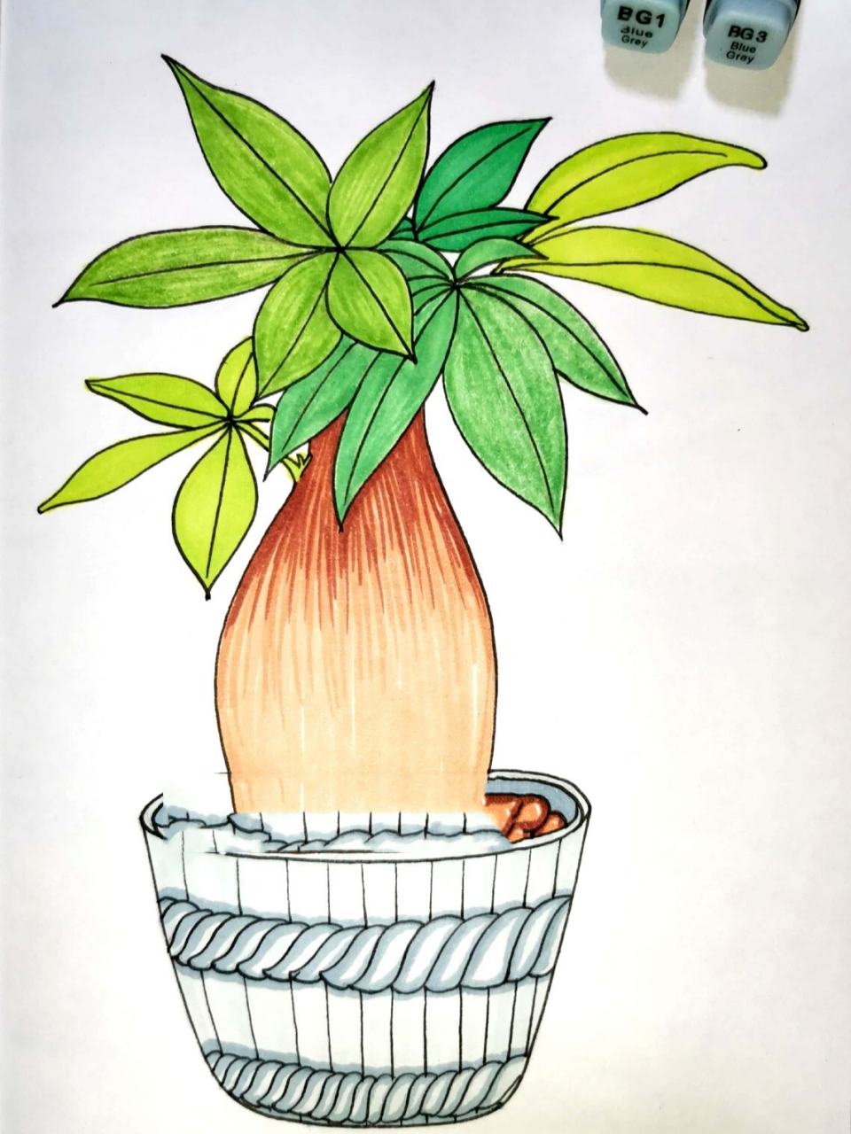 马克笔手绘 发财树 创意儿童画简笔画 线描