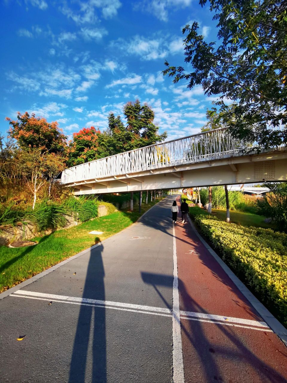 郑州新郑市双鹤湖 夕阳西下观景人在惊讶