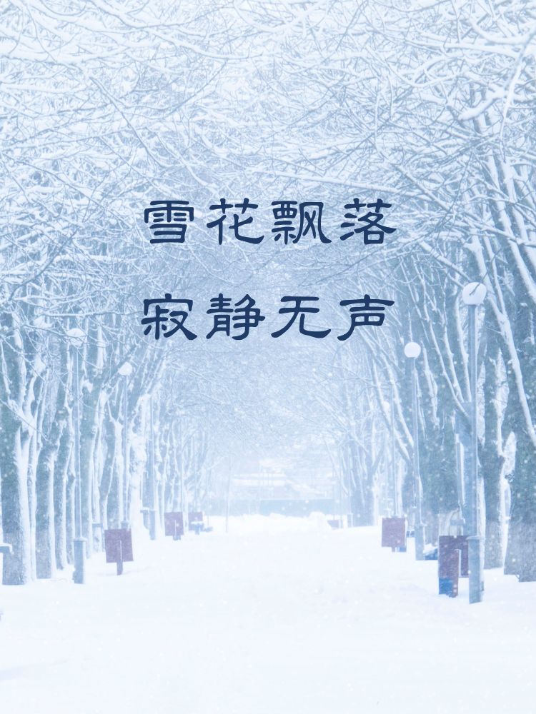 雪景配字简短8个字 1  银装素裹