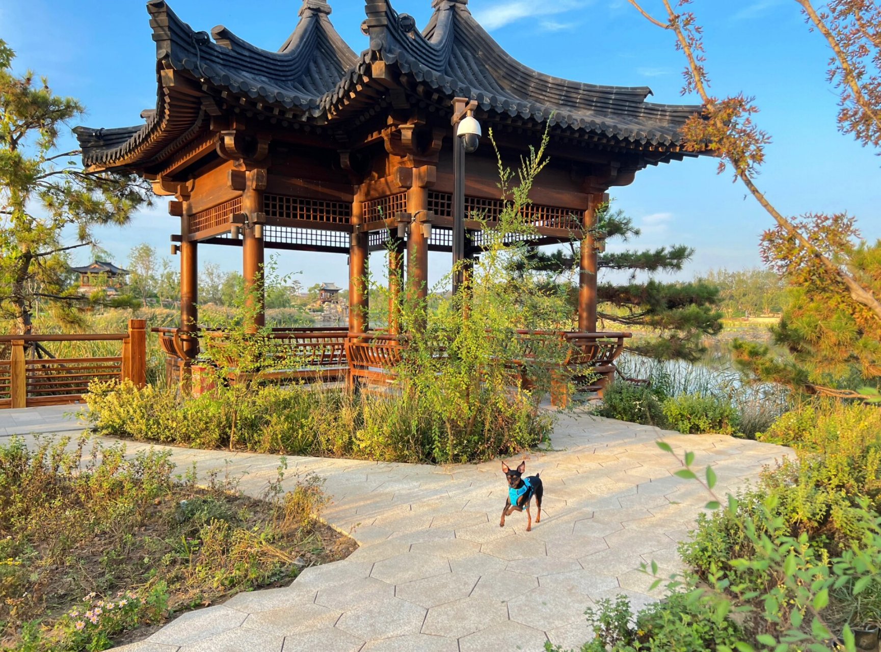 导航01:悦容公园(河北省雄安新区) 门票99:免费93 停车9315