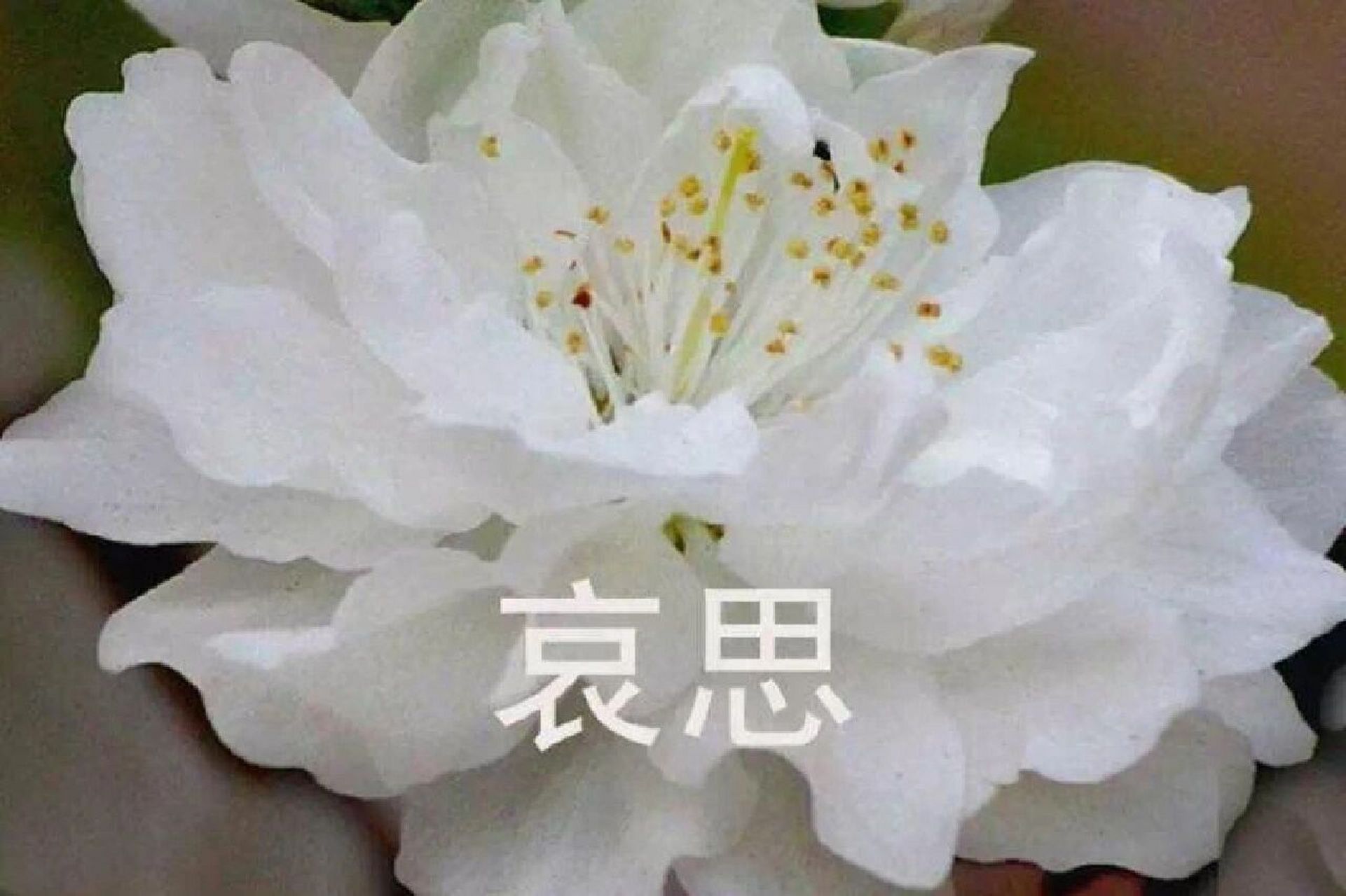 我知道总是去打扰你不好,但妈忍不住对你的思念