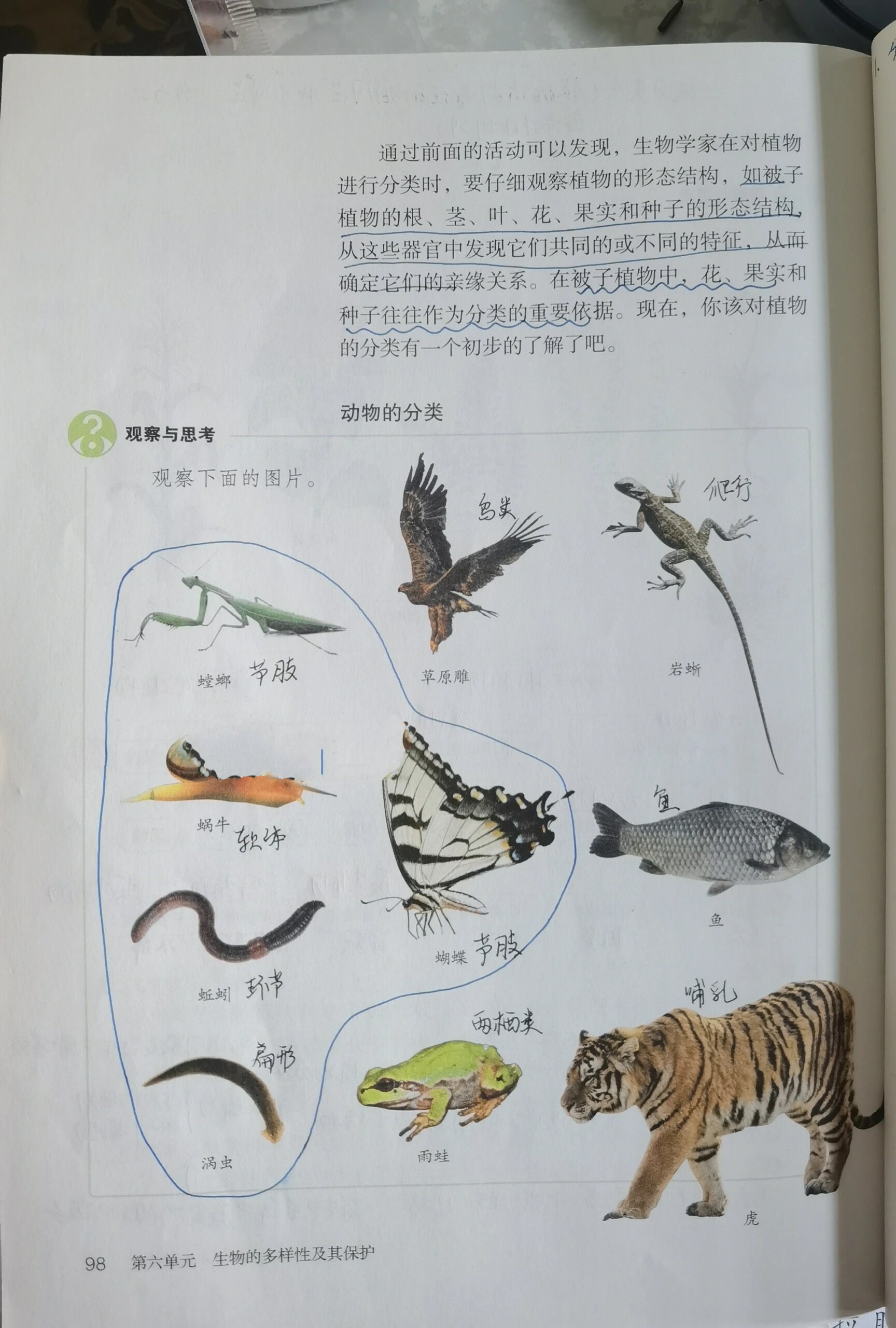 八年级上册生物=八年级上册生物内容