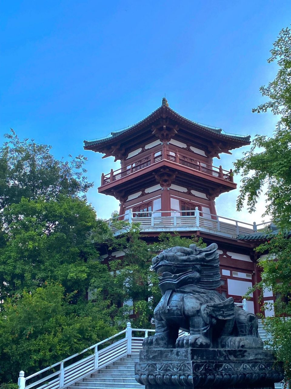 重庆永川兴龙湖公园   随手拍两张就是大片即视感 	 (主要是我拍的好)