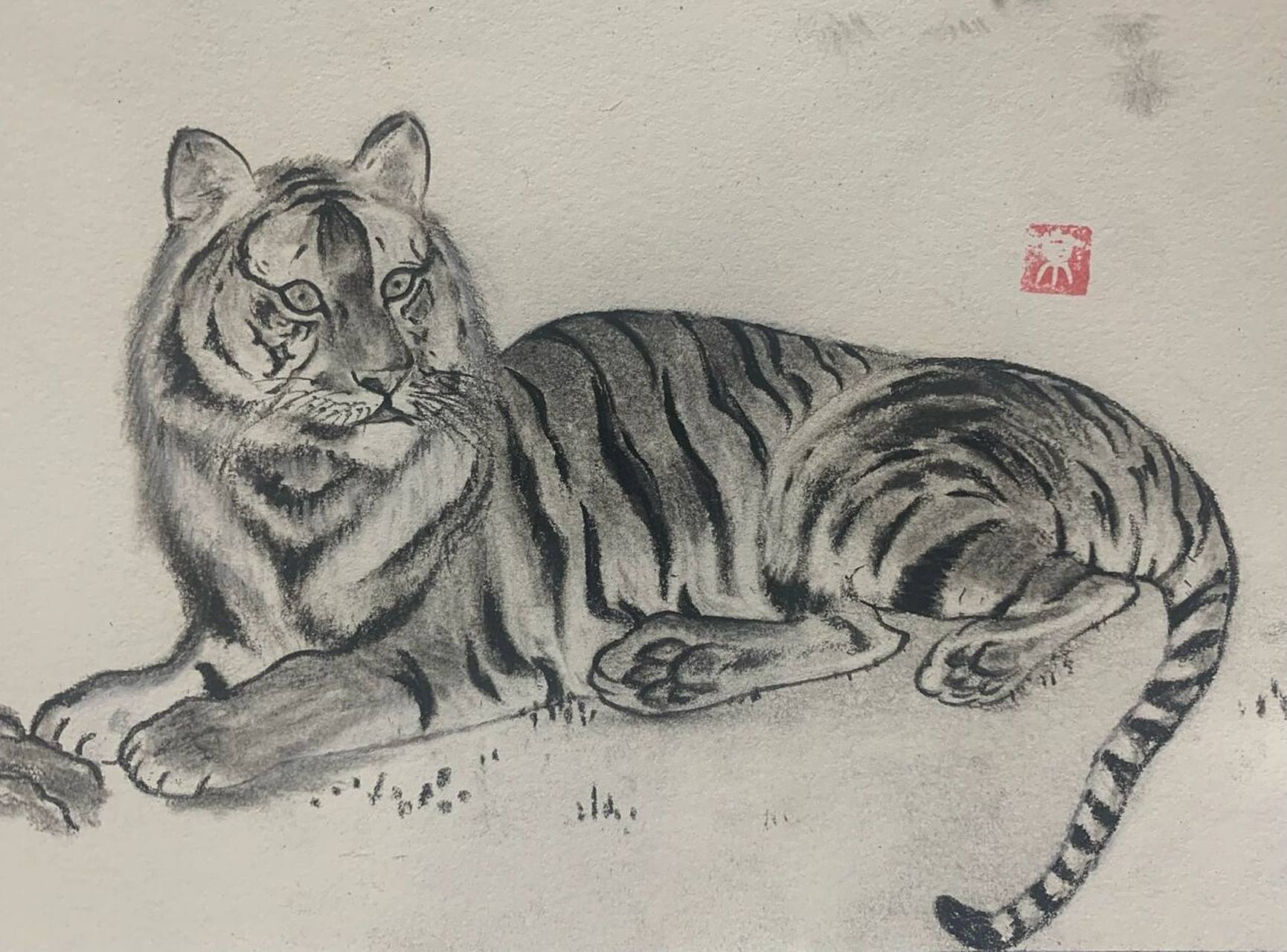 老虎速写 | 虎年画虎 | 铅笔素描手绘