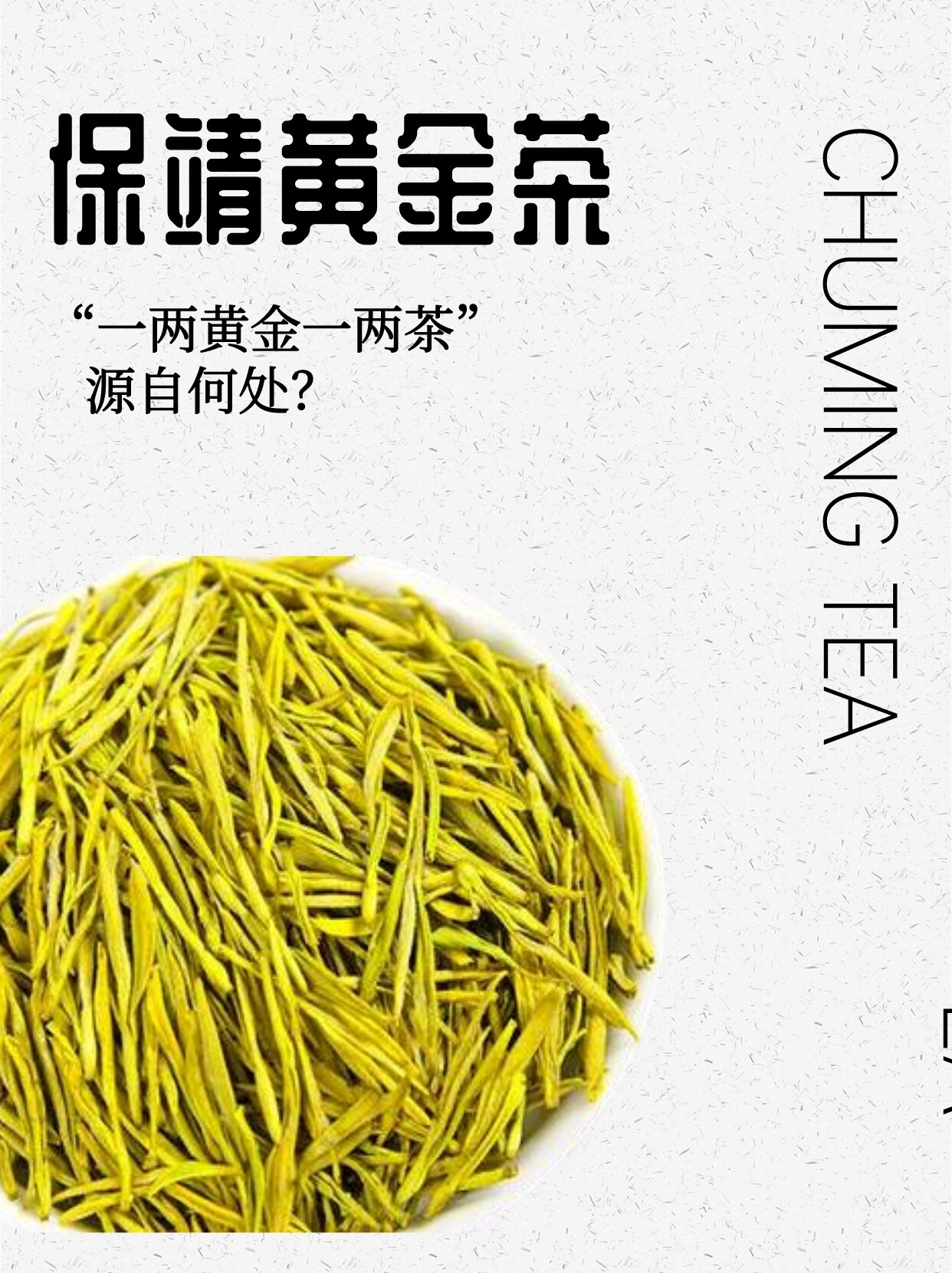 楚茗茶百科 | 湖南名茶保靖黄金茶