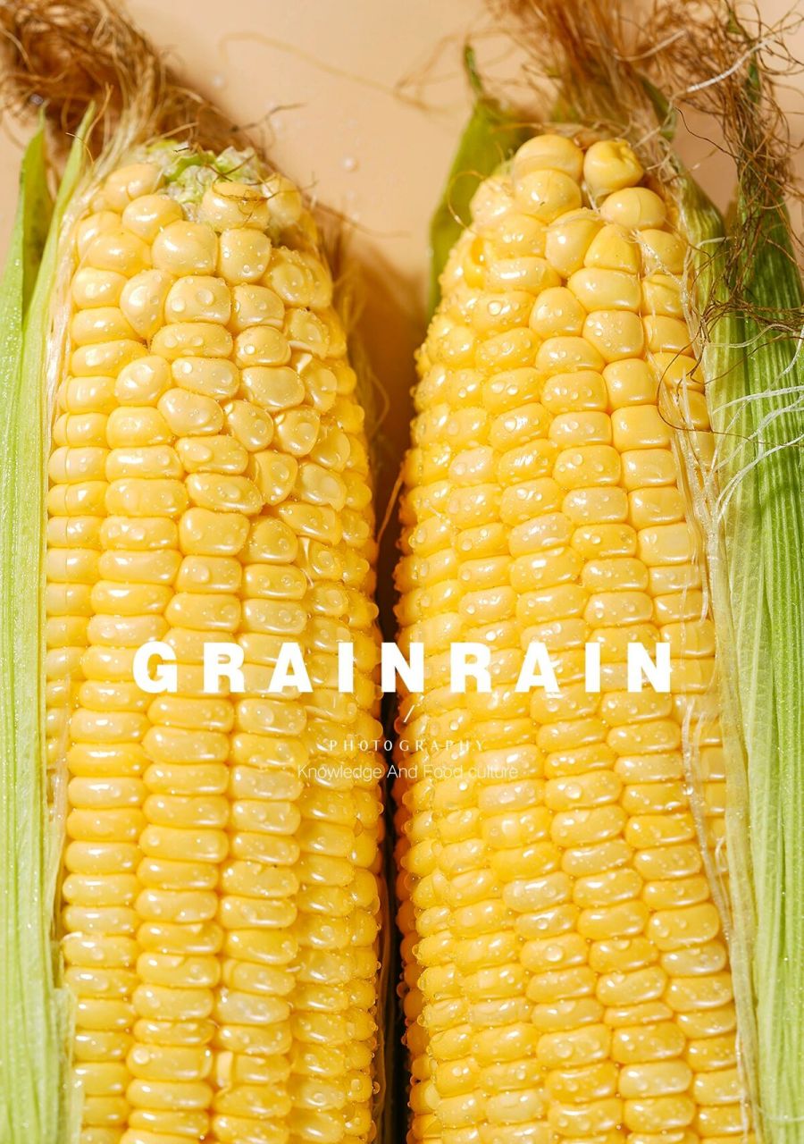 静物摄影|简约风玉米(附灯光图) 简约背景场景的玉米图片是这样拍出来