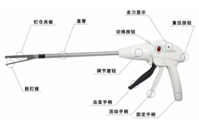 吻合器的钉子如何拔图片