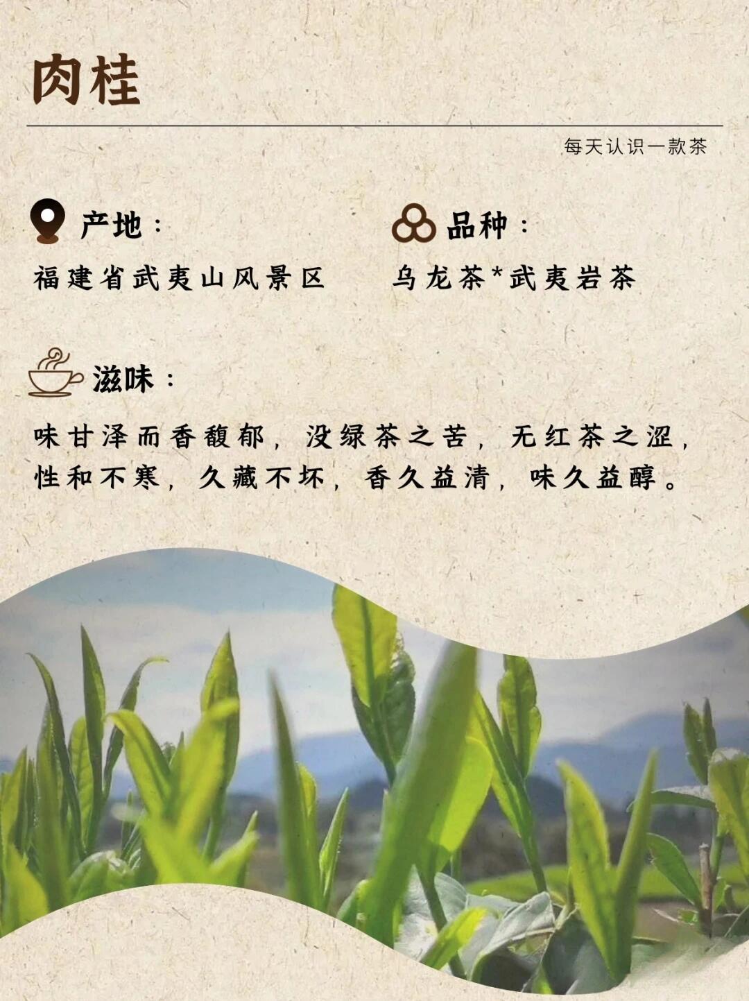 果香肉桂茶口感介绍图片