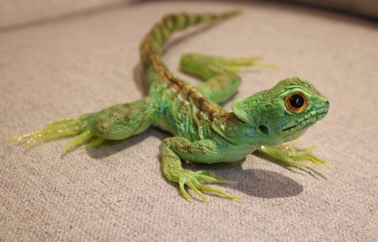 粘土手工•双冠蜥幼体🦎