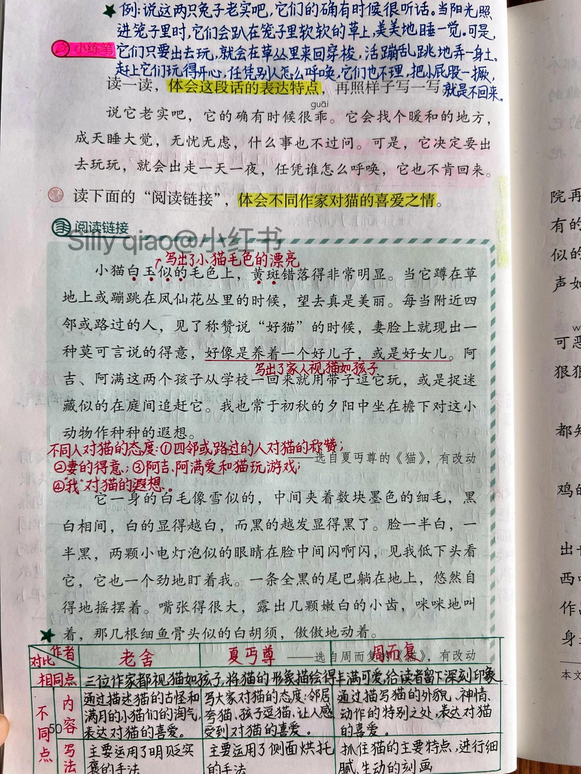 四年级下册语文|第13课《猫》详细备课笔记