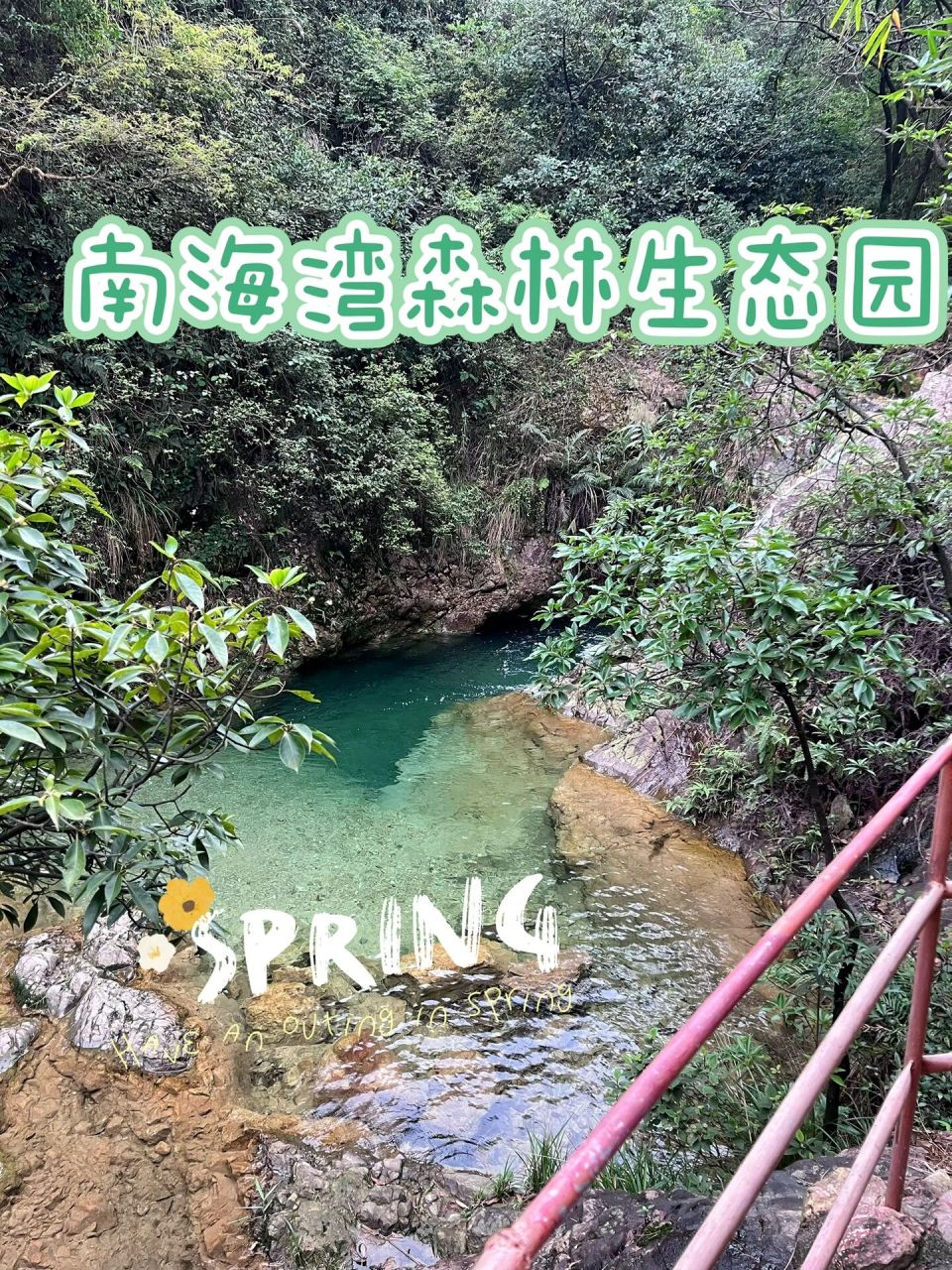 佛山南海湾森林生态园一日游～ 春天当然要出去踏青啊 	 趁周末终于去