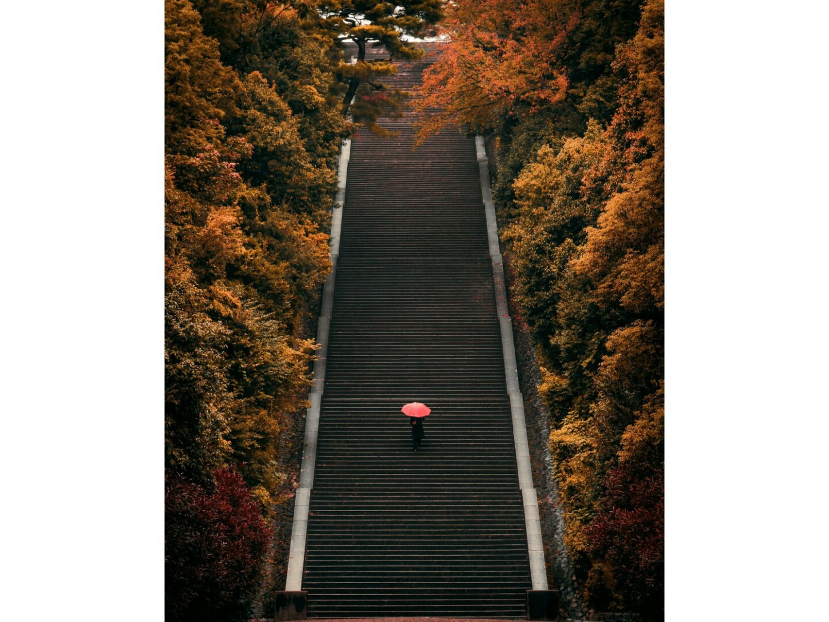 伏见桃山天皇陵墓图片