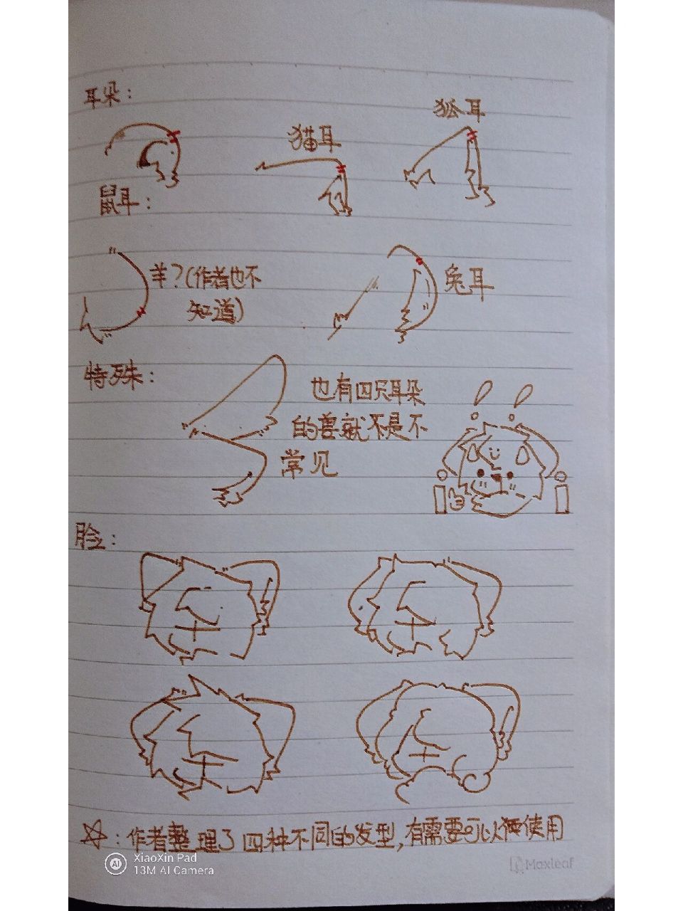 兽设素材 整理了一些素材