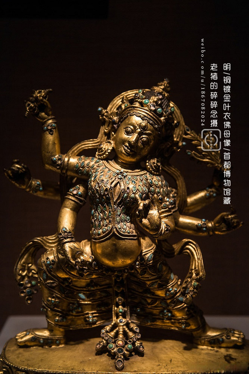 此为叶衣佛母,为观音变化身之一,她是一位消除疾病瘟疫,遮止怖畏