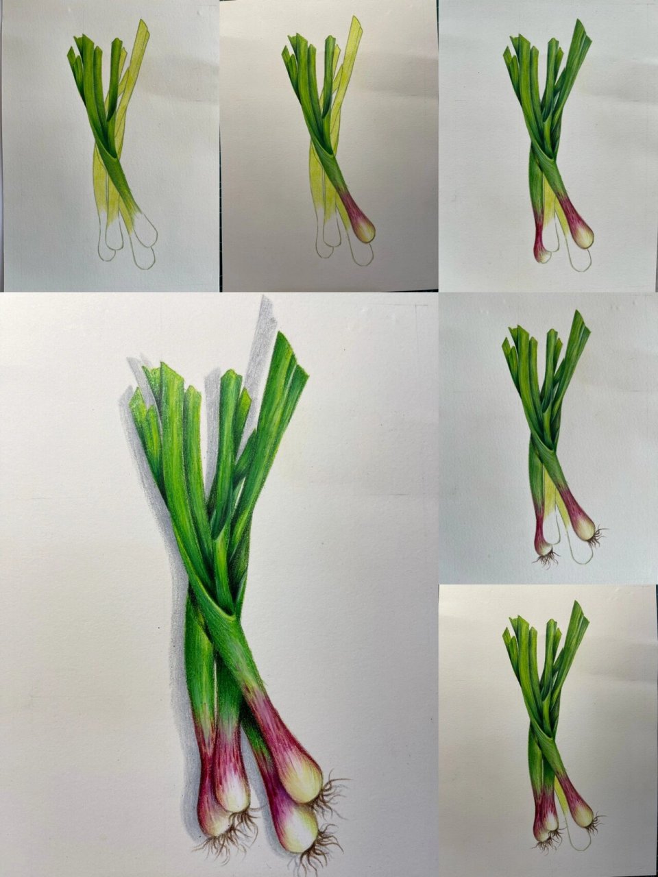 彩铅——蒜苗 春天万物生,据说大蒜苗多吃能杀菌消炎