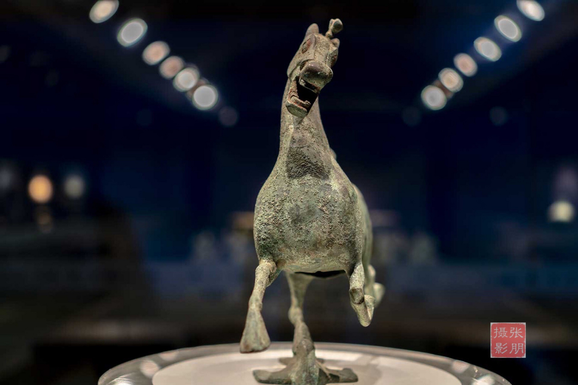 国宝级文物"马踏飞燕" 甘肃省博物馆的镇馆之宝,也是我国的国宝级文物