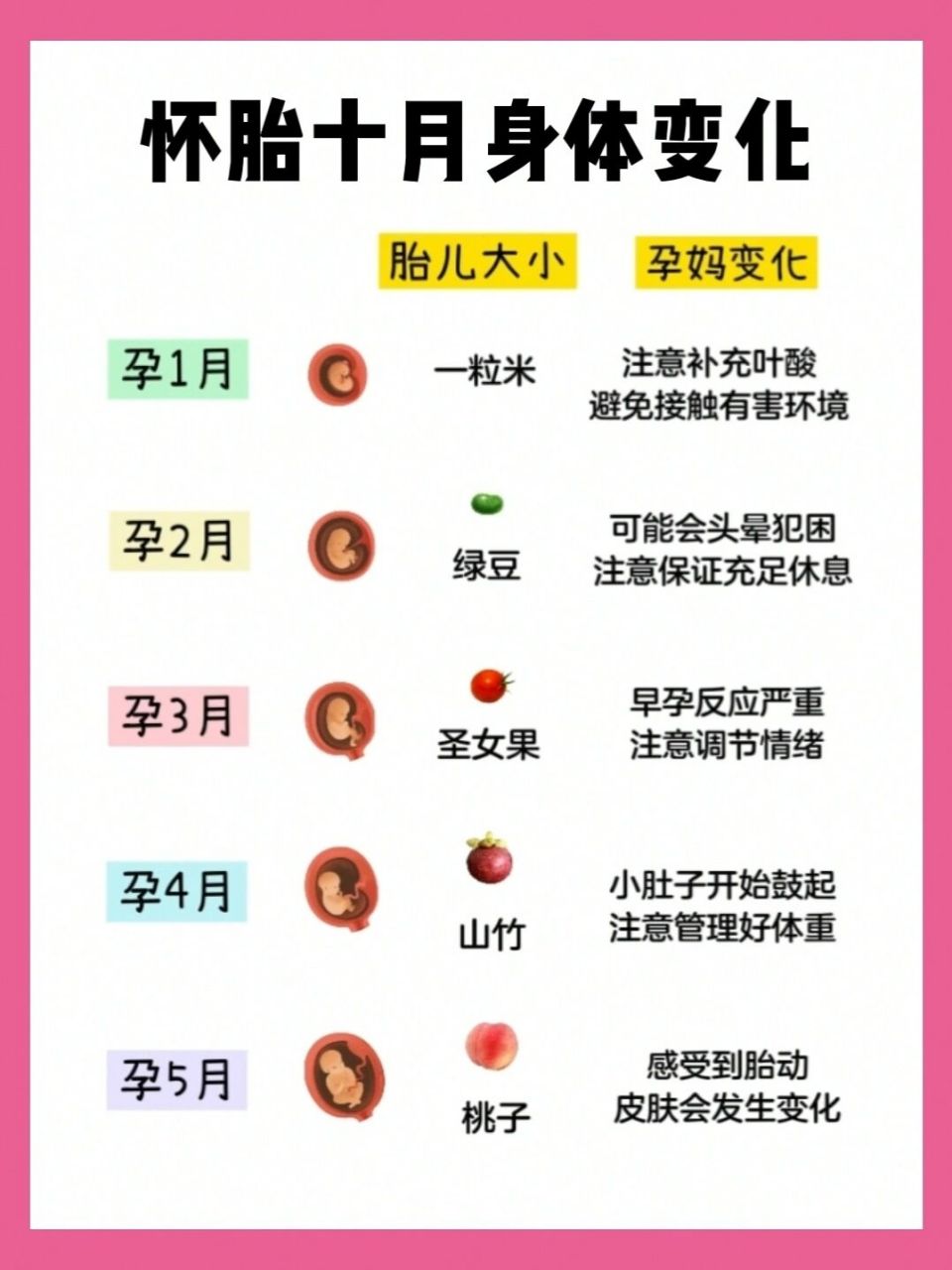 那么今天就跟着 一起来看看胎儿大小的水果蔬菜对比图吧!