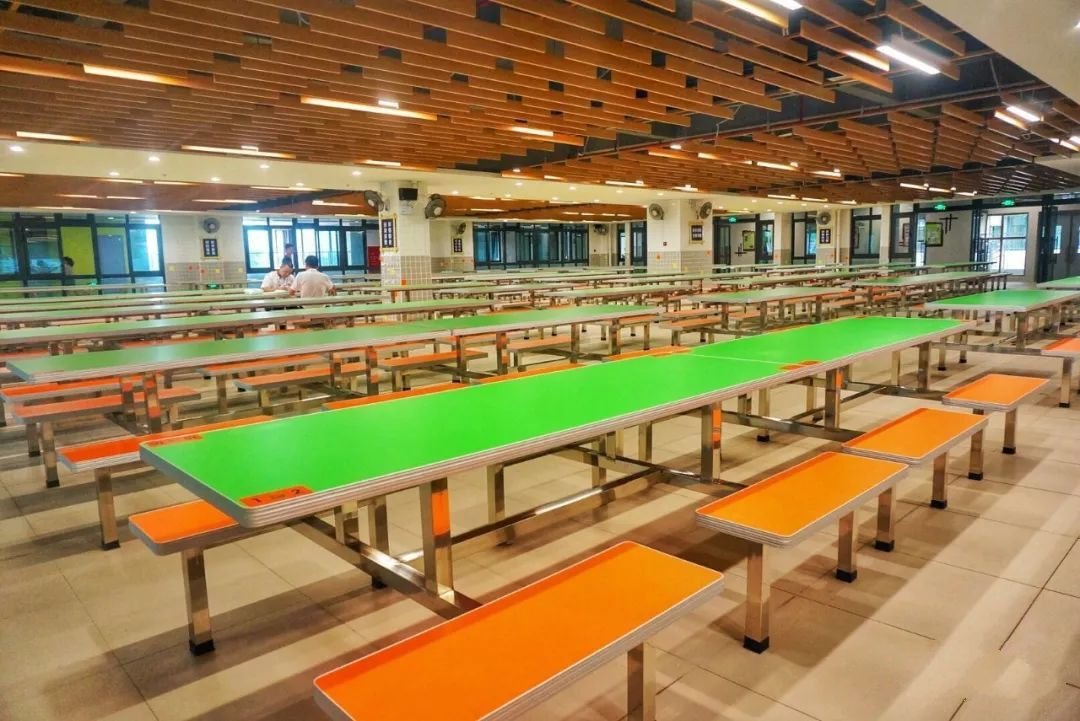 奇槎小学正式更名【佛山市三龙湾小学】