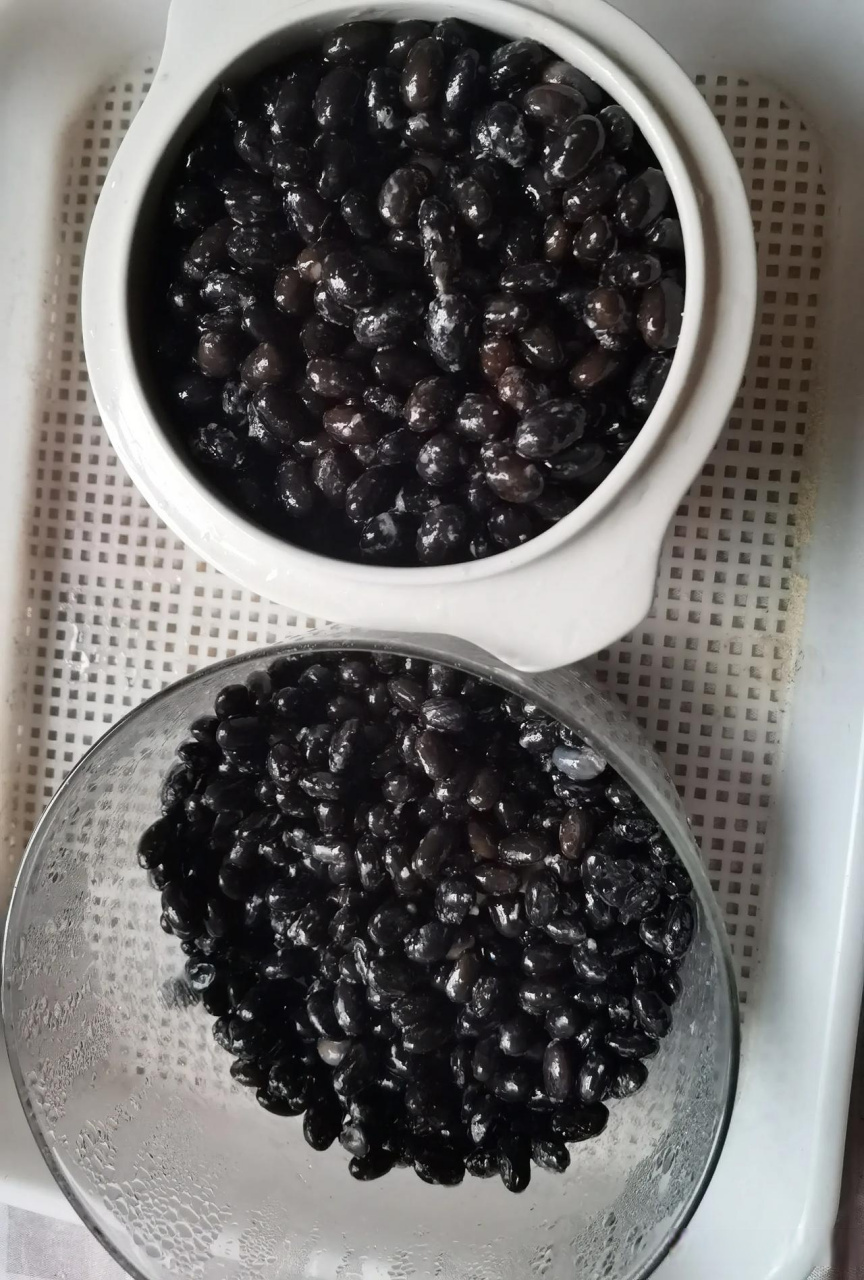黑豆豆豉发酵好啦! 我最喜欢吃自己做的豆豉,吃完了就会马上再做.
