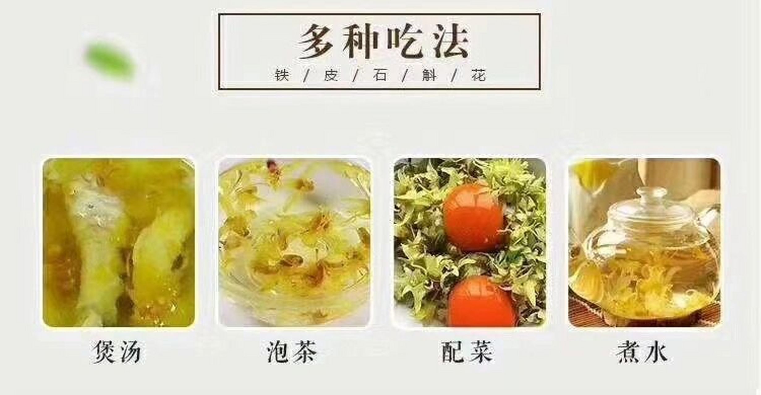 铁皮石斛花功效与作用 铁皮石斛的全身都是宝,不仅铁皮石斛的效果比较