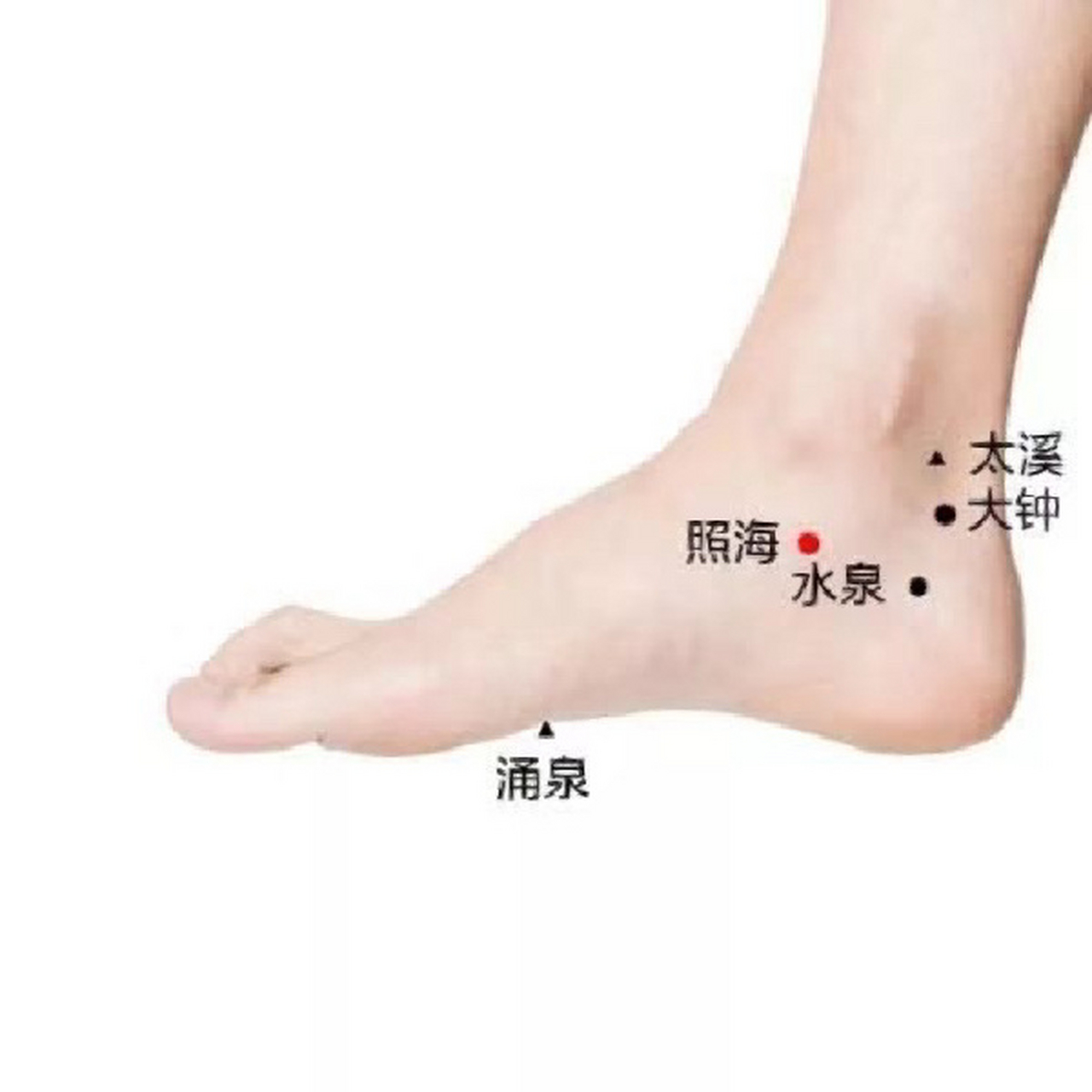 照海穴位于踝区,具有滋阴调经,熄风止痉,利咽安神的作用.