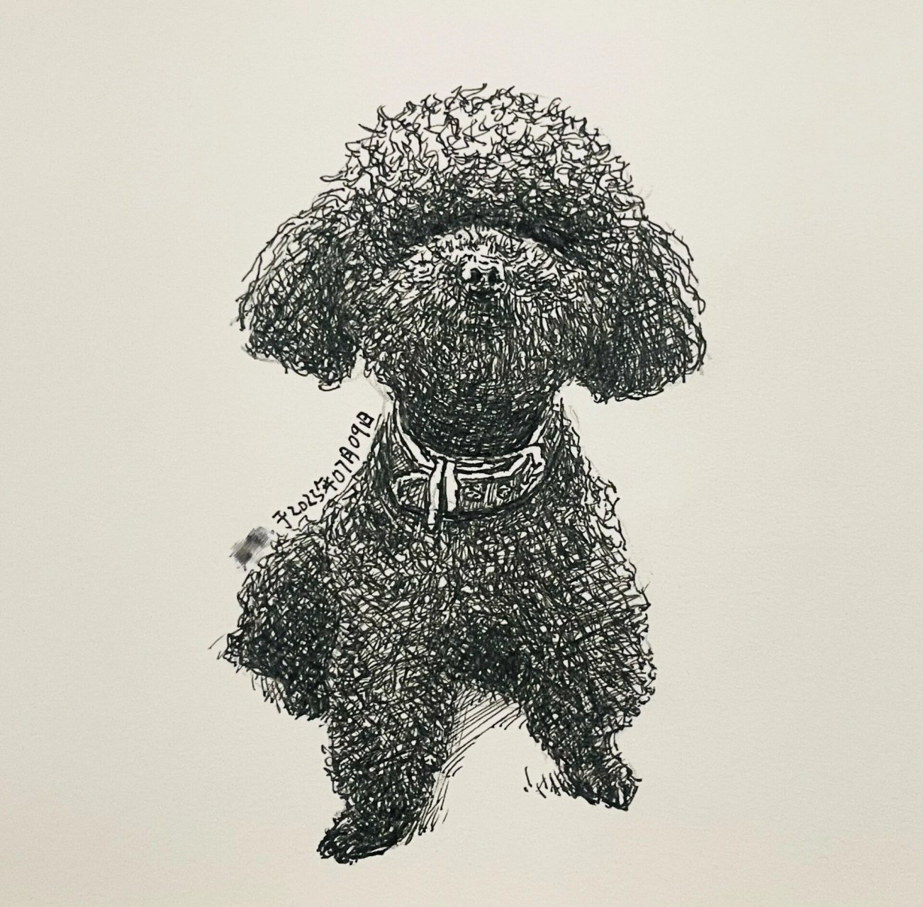 狗狗绘画|是不是每一个黑泰迪都长一个样 手绘黑泰迪🐶,日常分享～ 