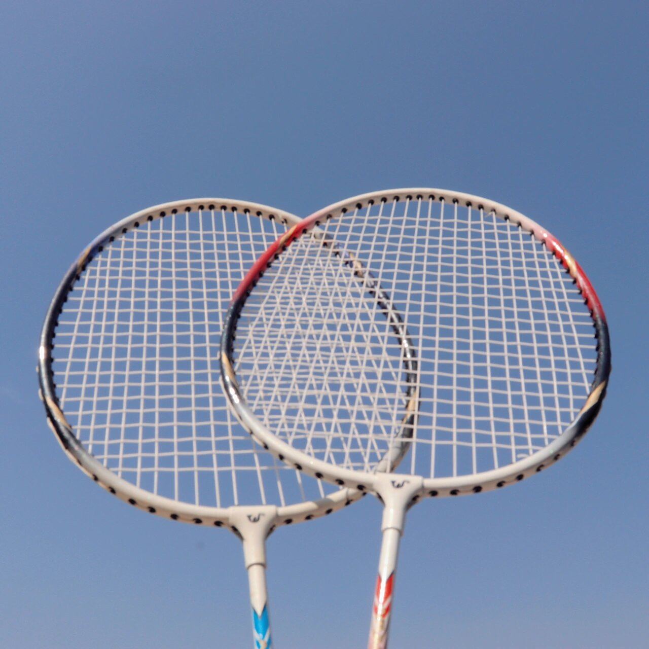 朋友圈分享|今天是运动girl96|羽毛球拍照 96 运不运动不重要