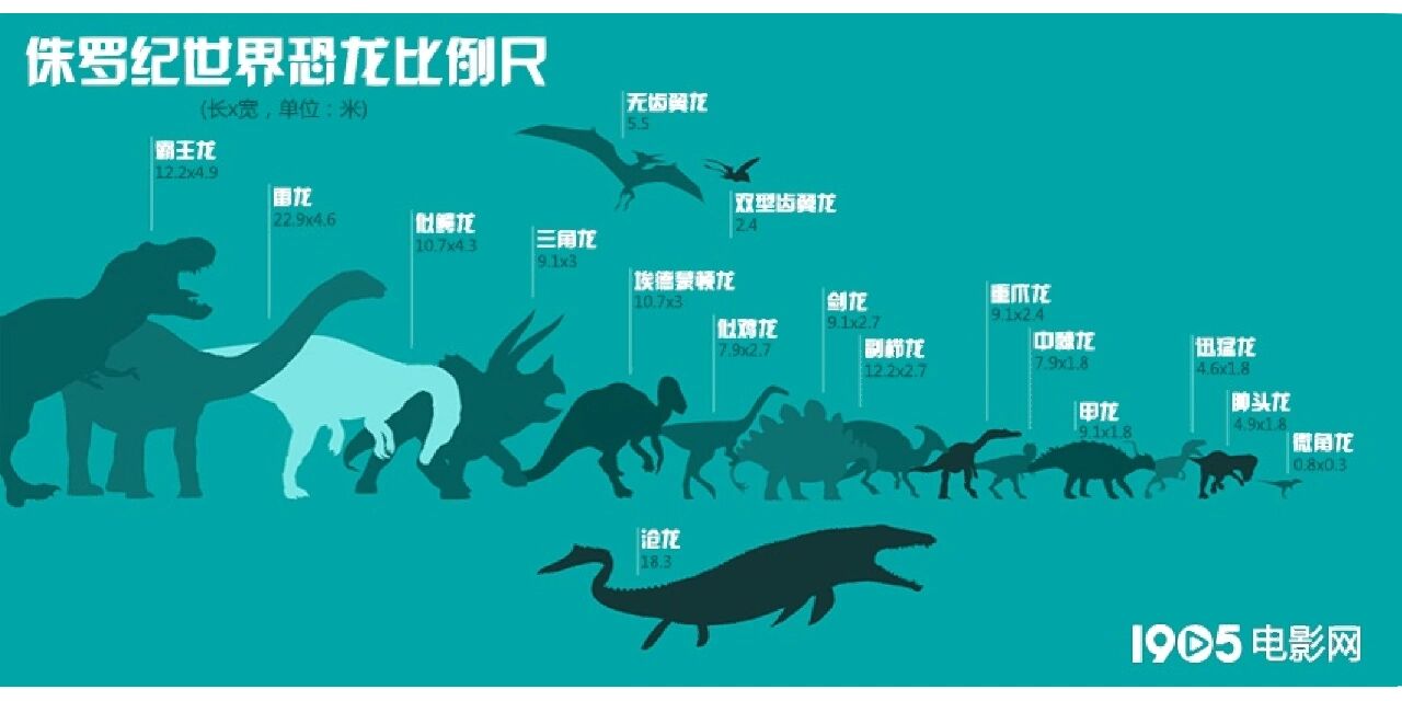 恐龙体型对比