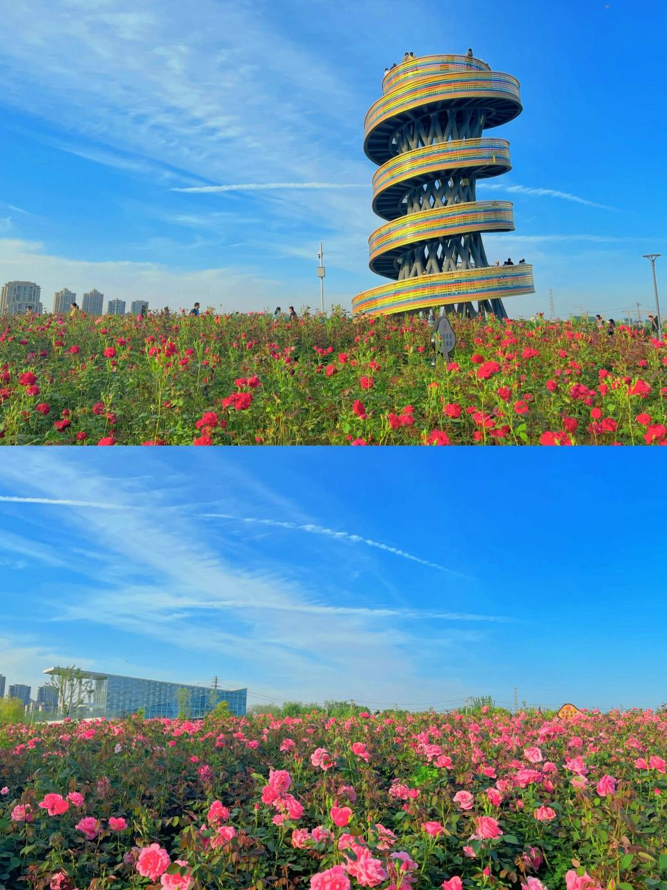 打卡合肥—瑶海湾湿地公园 适合周末出行的小众公园90,瑶海区湿地