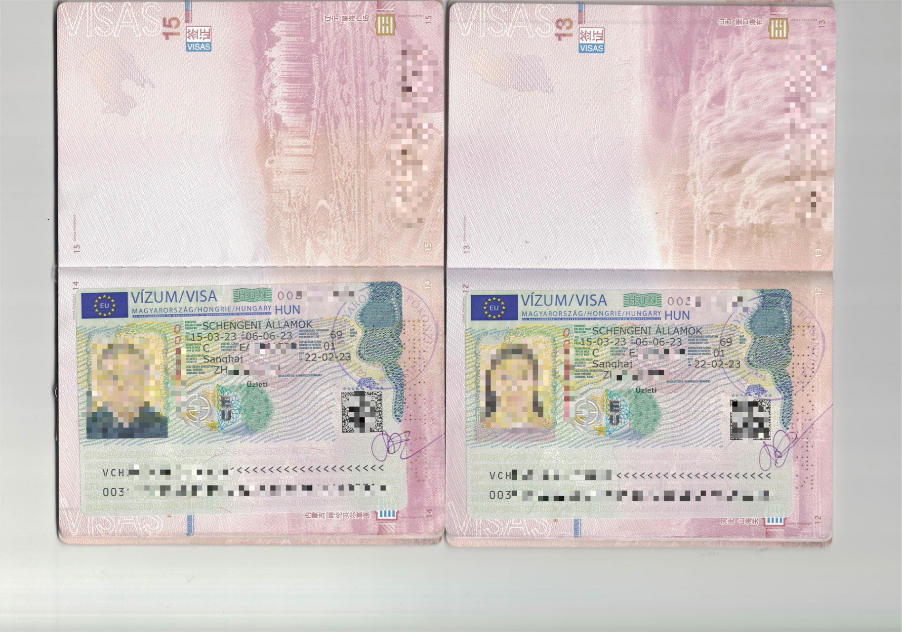 匈牙利商务签证给个多次就那么难么～ 2023.02.21上海递交 2023.02.