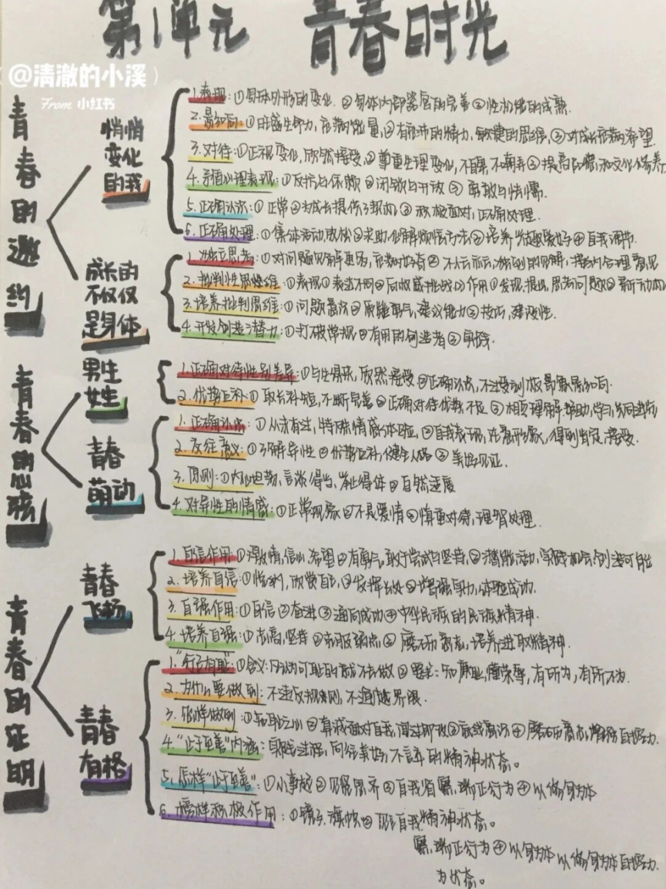 初一下册政治思维导图