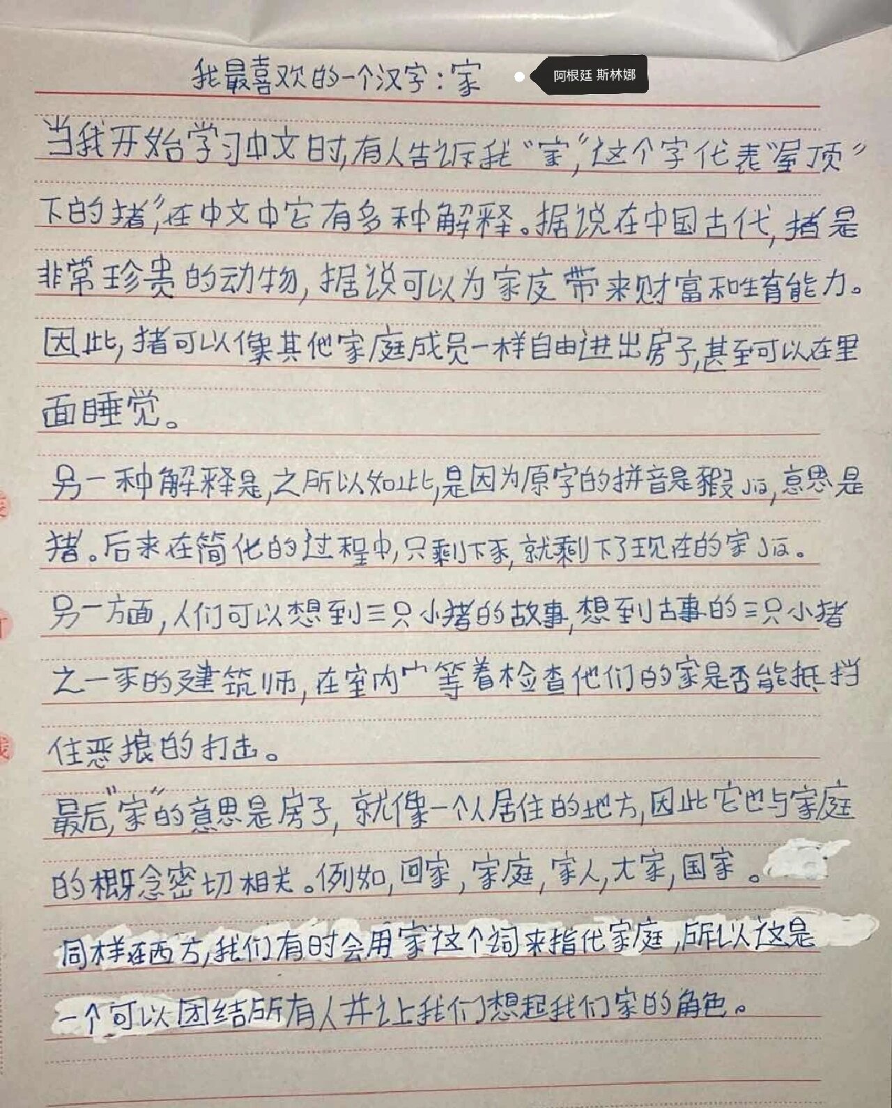 我和汉字的故事450字图片