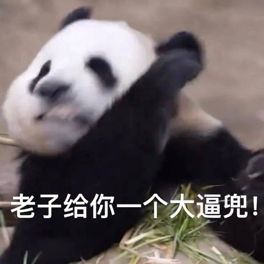 大熊猫表情包
