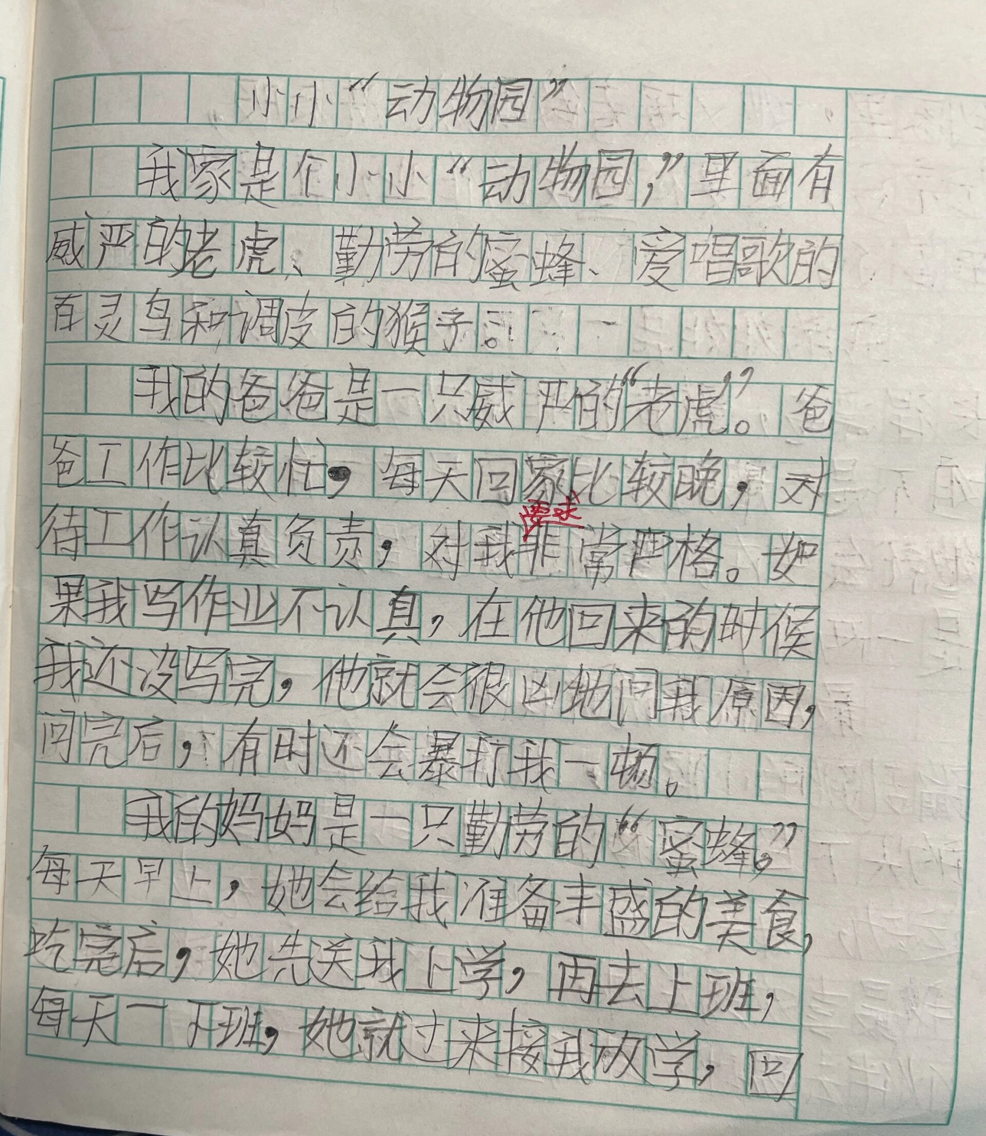 小小动物园200字图片