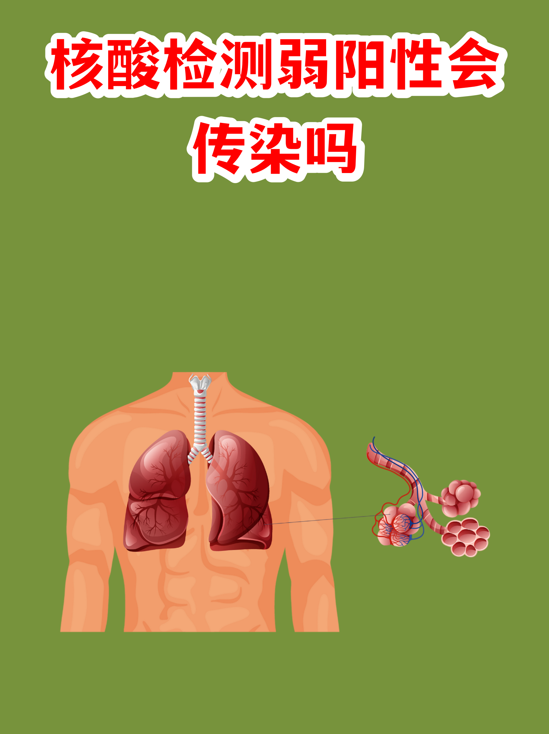  疫情是由什么传播的(疫情是从哪里传播出来的)