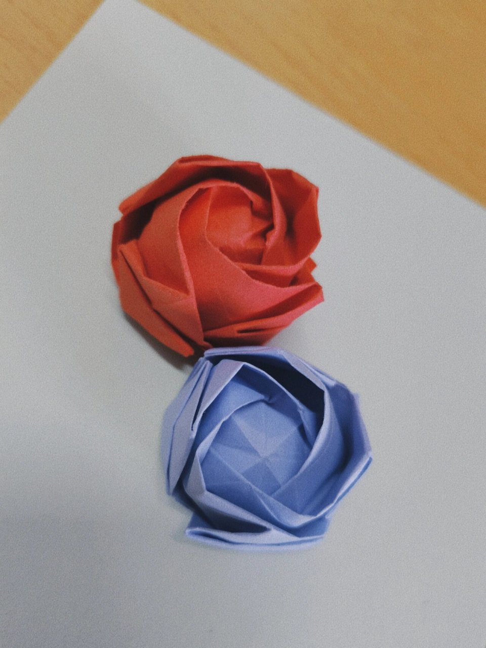 春日玫瑰|保姆级折纸教程|手残也能学会 春日做的第一个川崎玫瑰终于