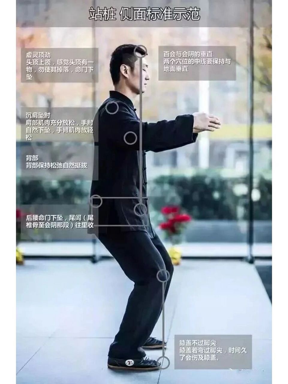 浑圆桩 标准示范图 (收藏版) 站桩百病疗,生活更美好.