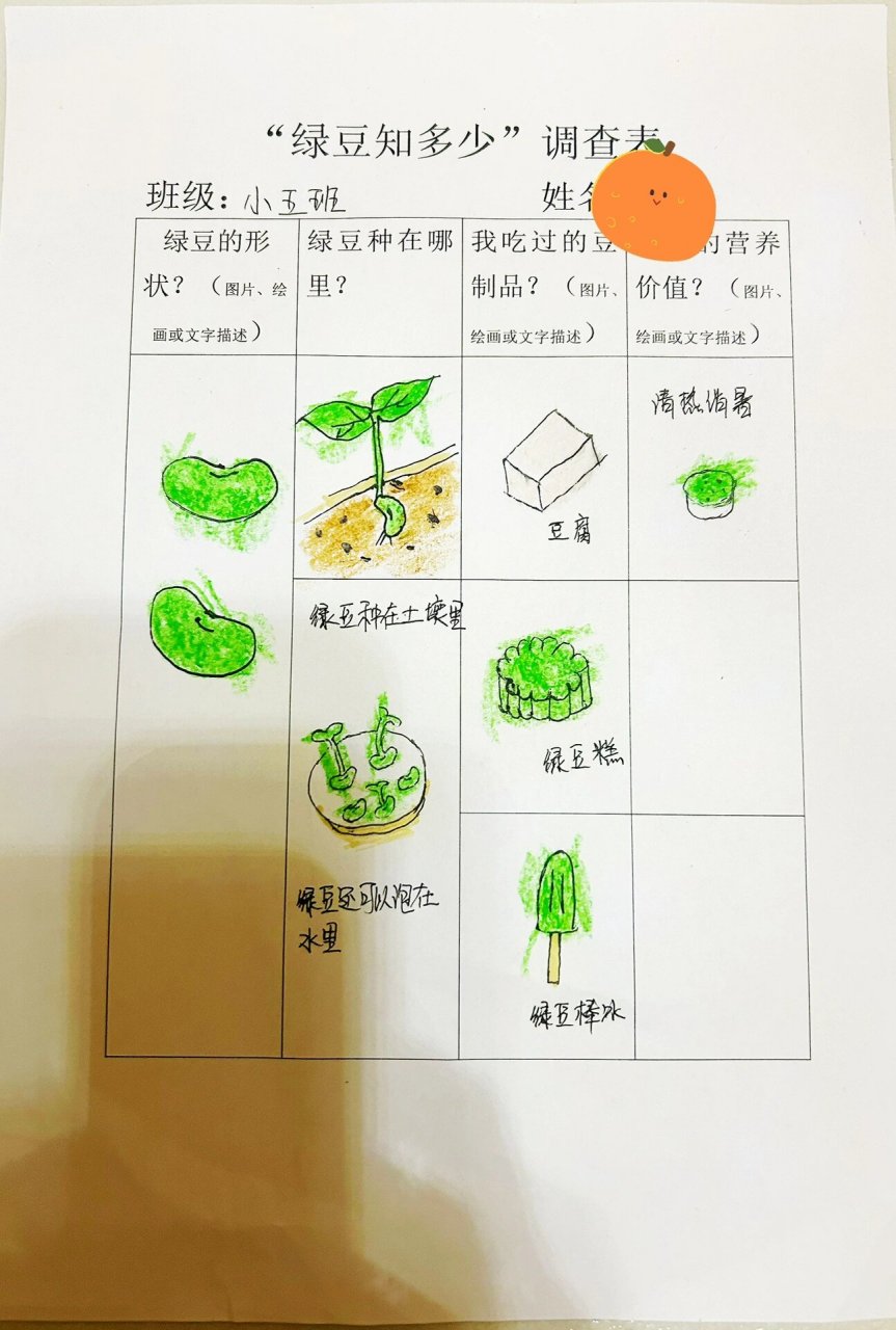 幼儿园植物种植调查表图片