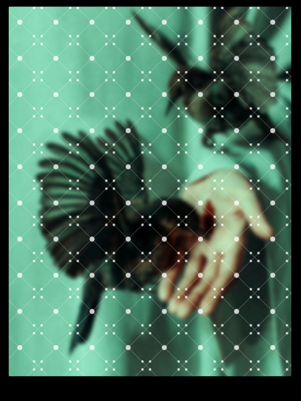 全屏水印png透明底图片50款领取 透明,线条,格子,网格 星空,星光,防盗