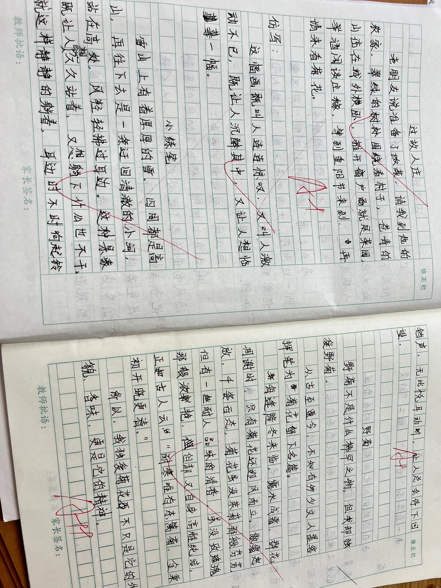 每日百字作文