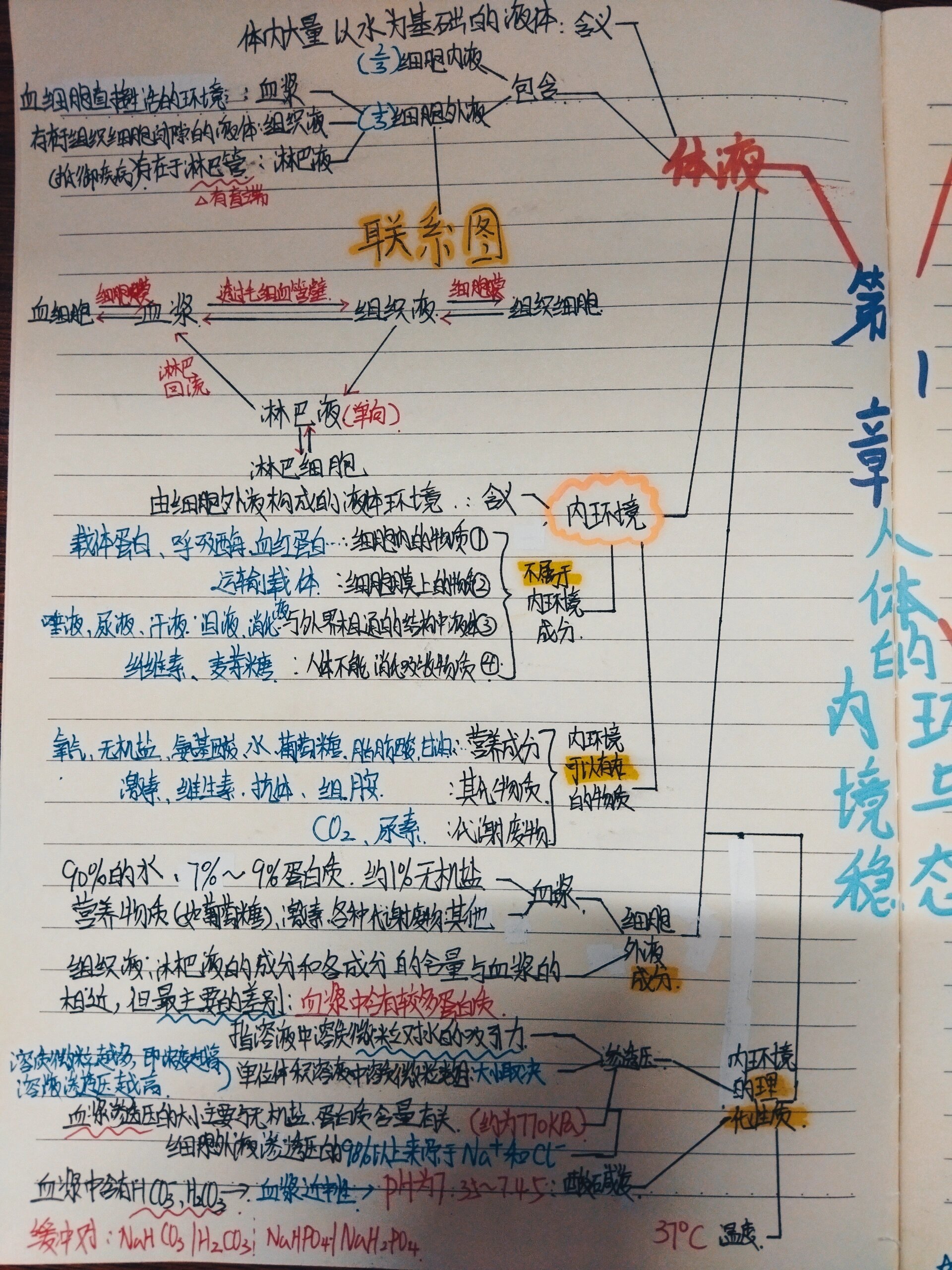 内环境思维导图图片