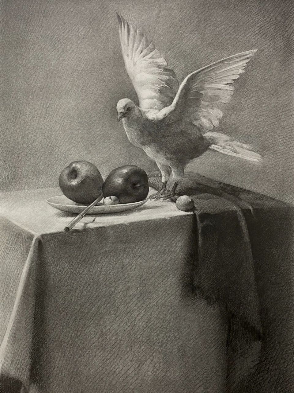 《白鸽》 材料:康颂素描纸   三菱铅笔 2b～hb