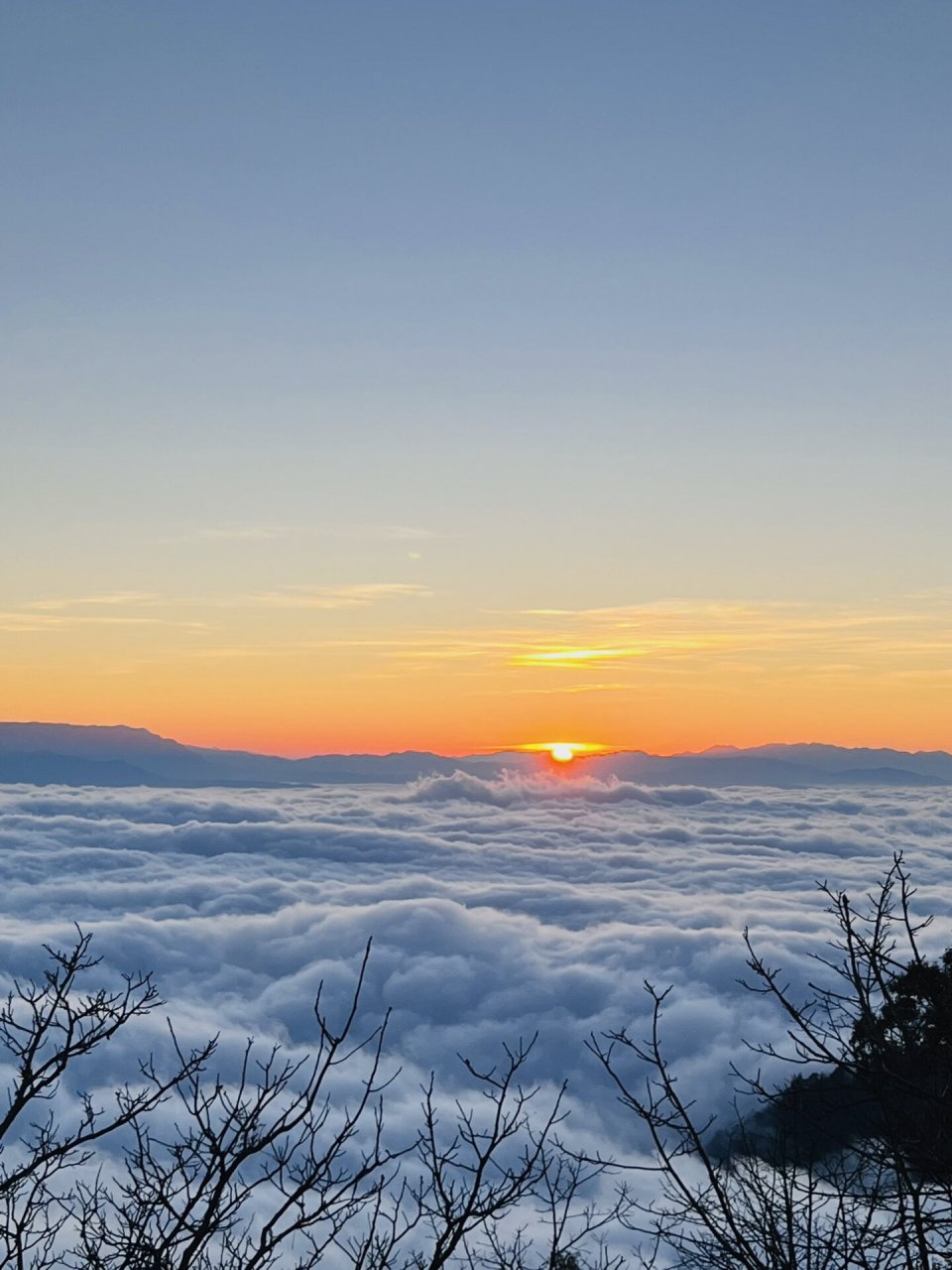日出云海92|美到移不开眼 夏天看过了海边的日出 冬天去哀牢山上看