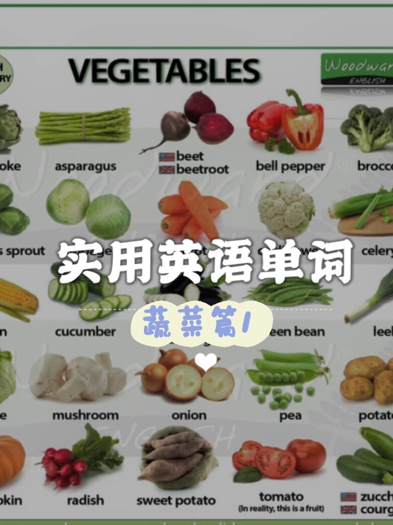 实用英语单词 | 花椰菜,芹菜,卷心菜怎么说