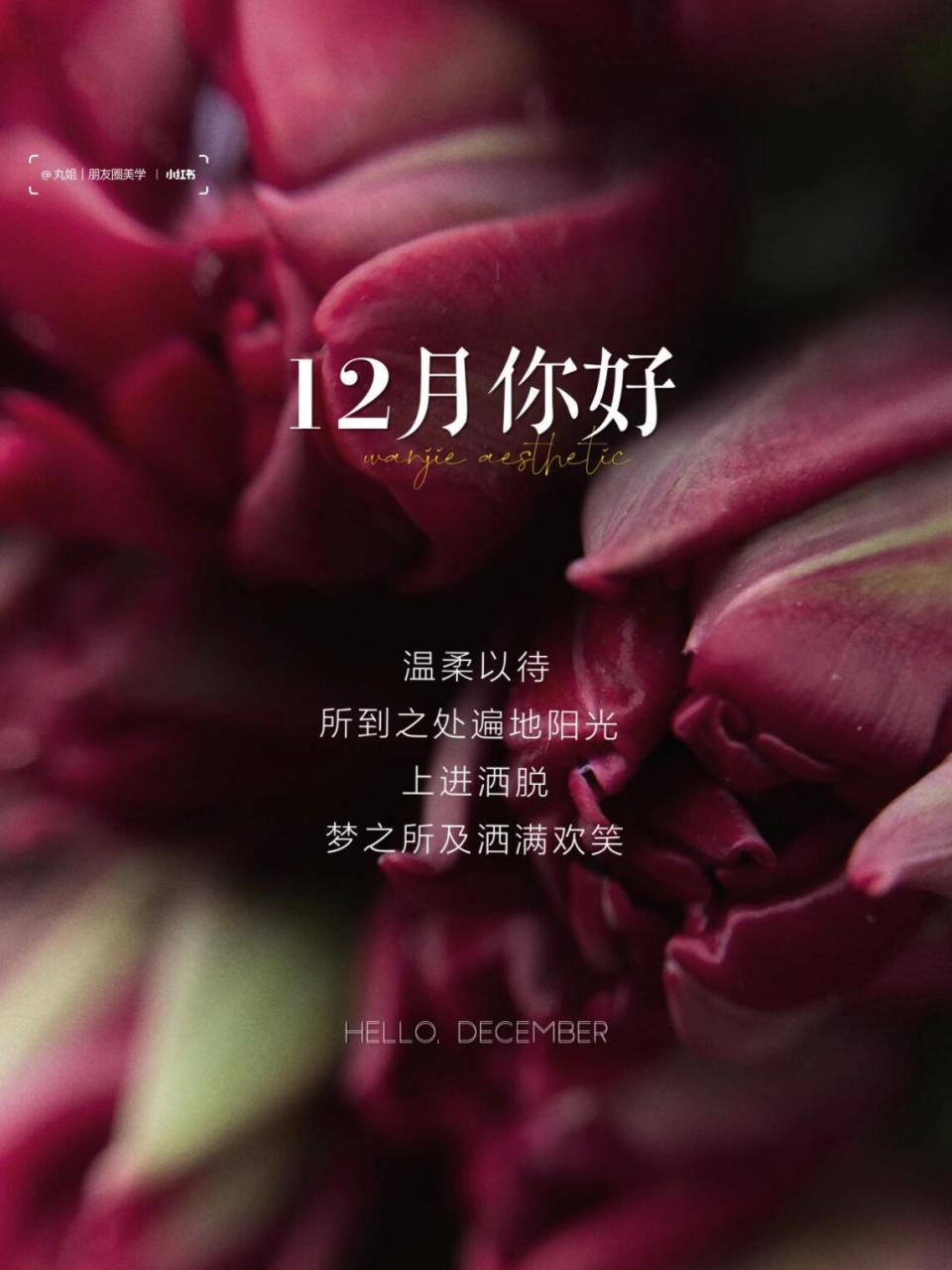 12月壁纸 抖音图片