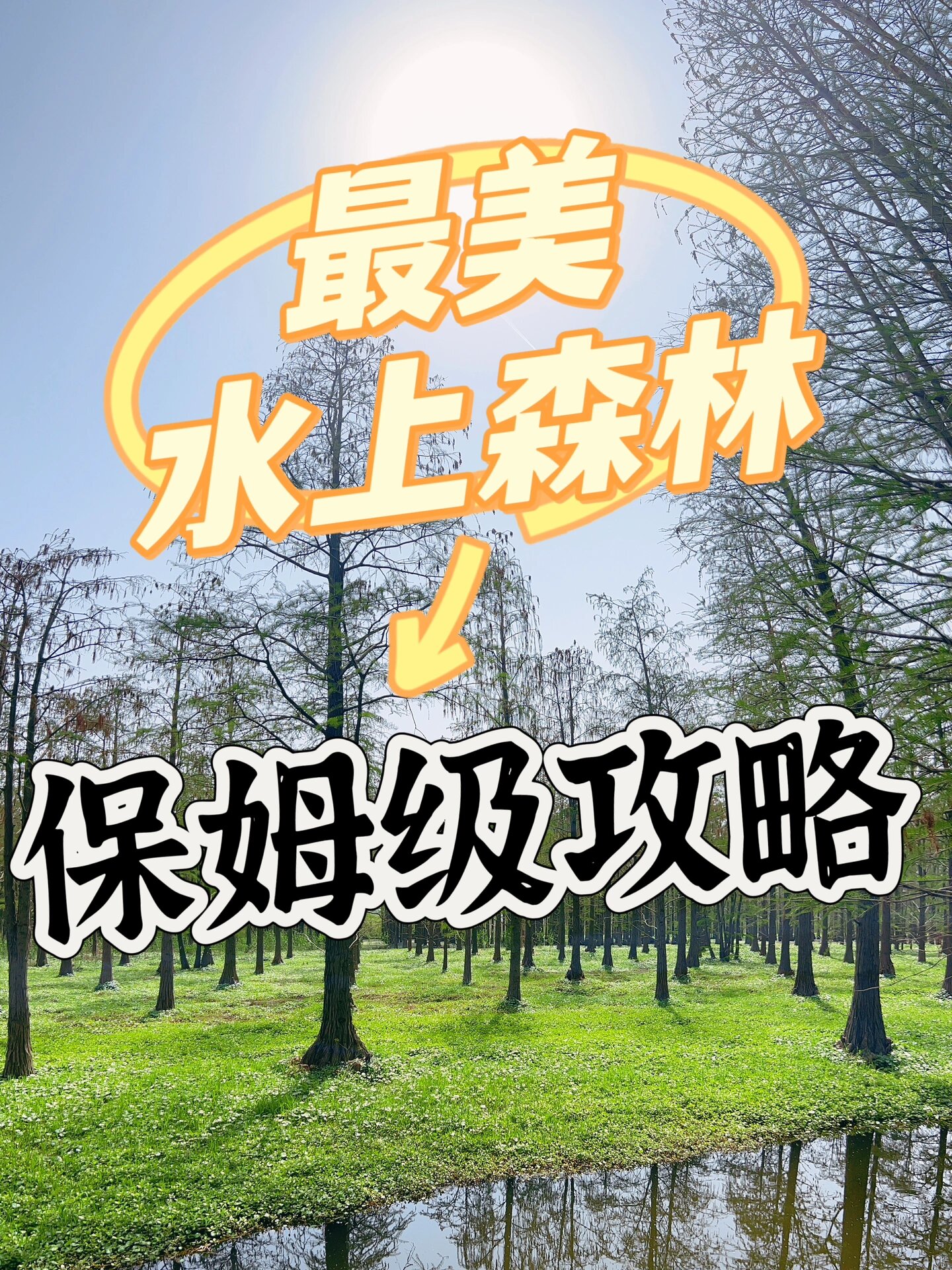 上海青浦大型湿地公园—青西郊野公园