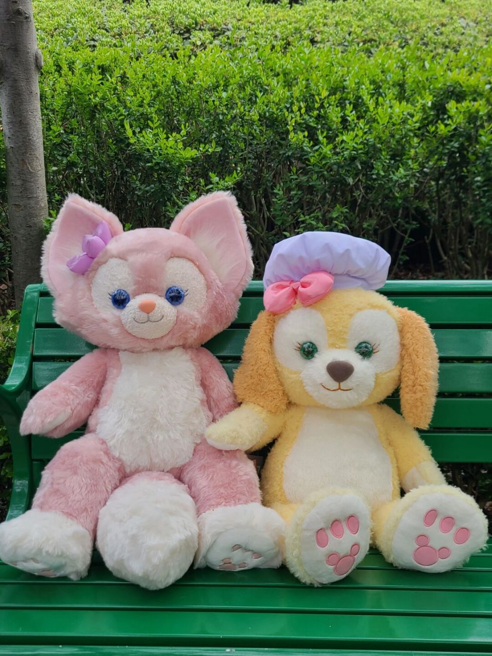 岁月静好 #玲娜贝儿# #可琦安# #杰拉托尼# #奥乐米拉# #m贝# #m饼